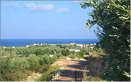 Sfakaki (Rethymnon): View from above