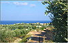 Sfakaki (Rethymnon): View from above